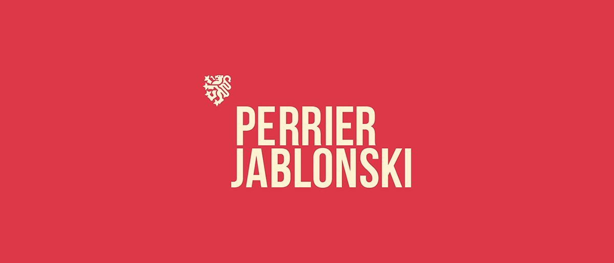 深圳品牌設計  深圳品牌策劃  Perrier Jablonski網絡通信品牌形象設計  標志設計