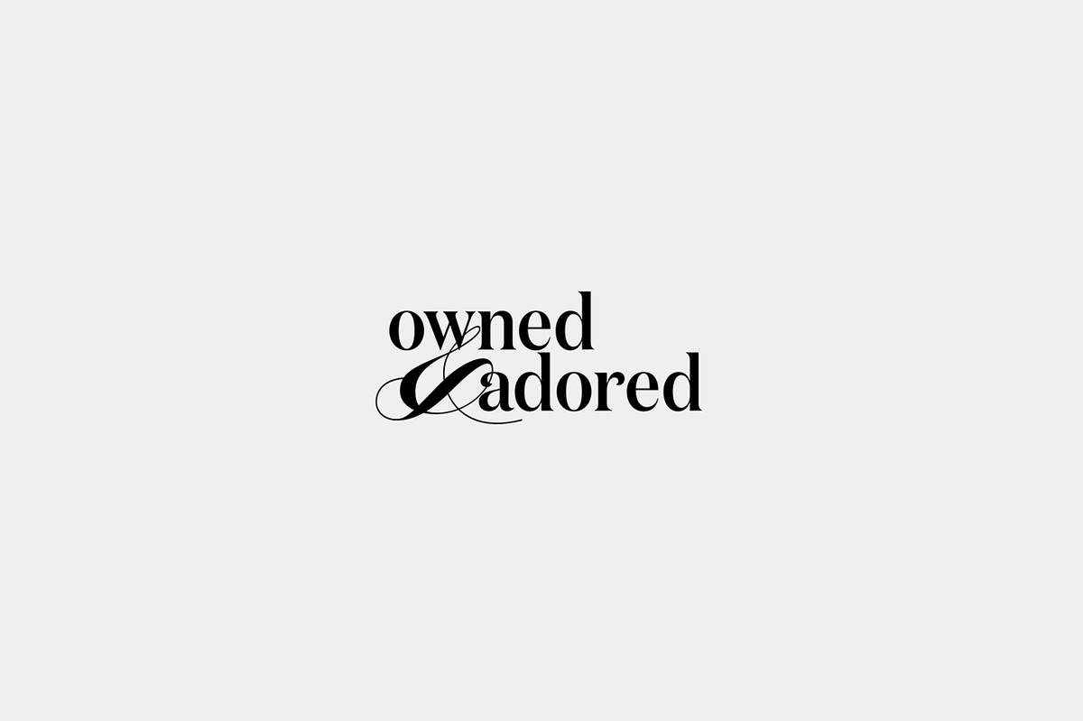 寵物用品品牌設計——Owned and Adored國外寵物配飾品牌設計案例，品牌設計，寵物用品品牌設計，寵物配飾品牌設計，品牌設計案例