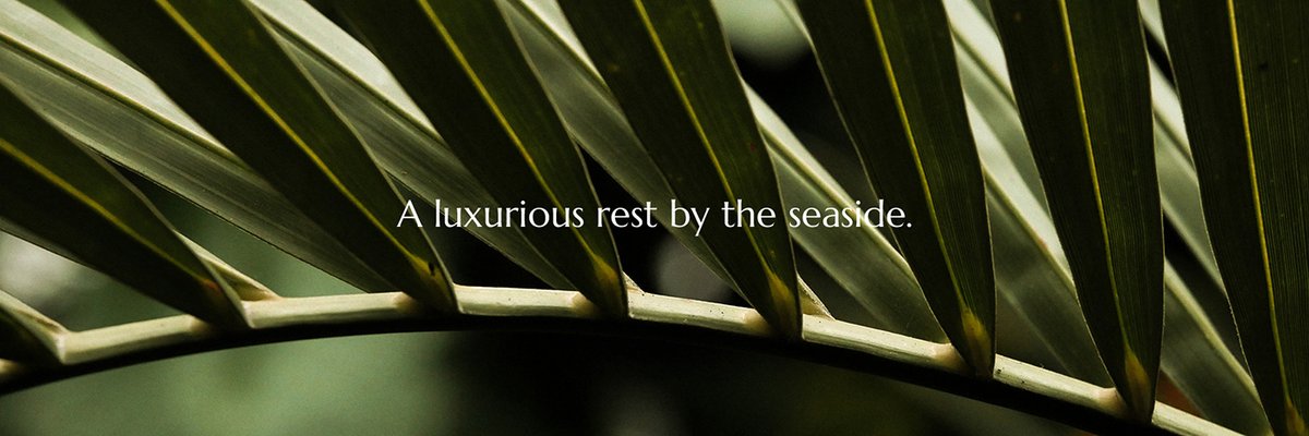 TULUM LUXURY海邊豪華酒店品牌設計和宣傳畫冊設計案例,品牌設計，酒店品牌設計，宣傳畫冊設計，酒店畫冊設計，深圳品牌設計