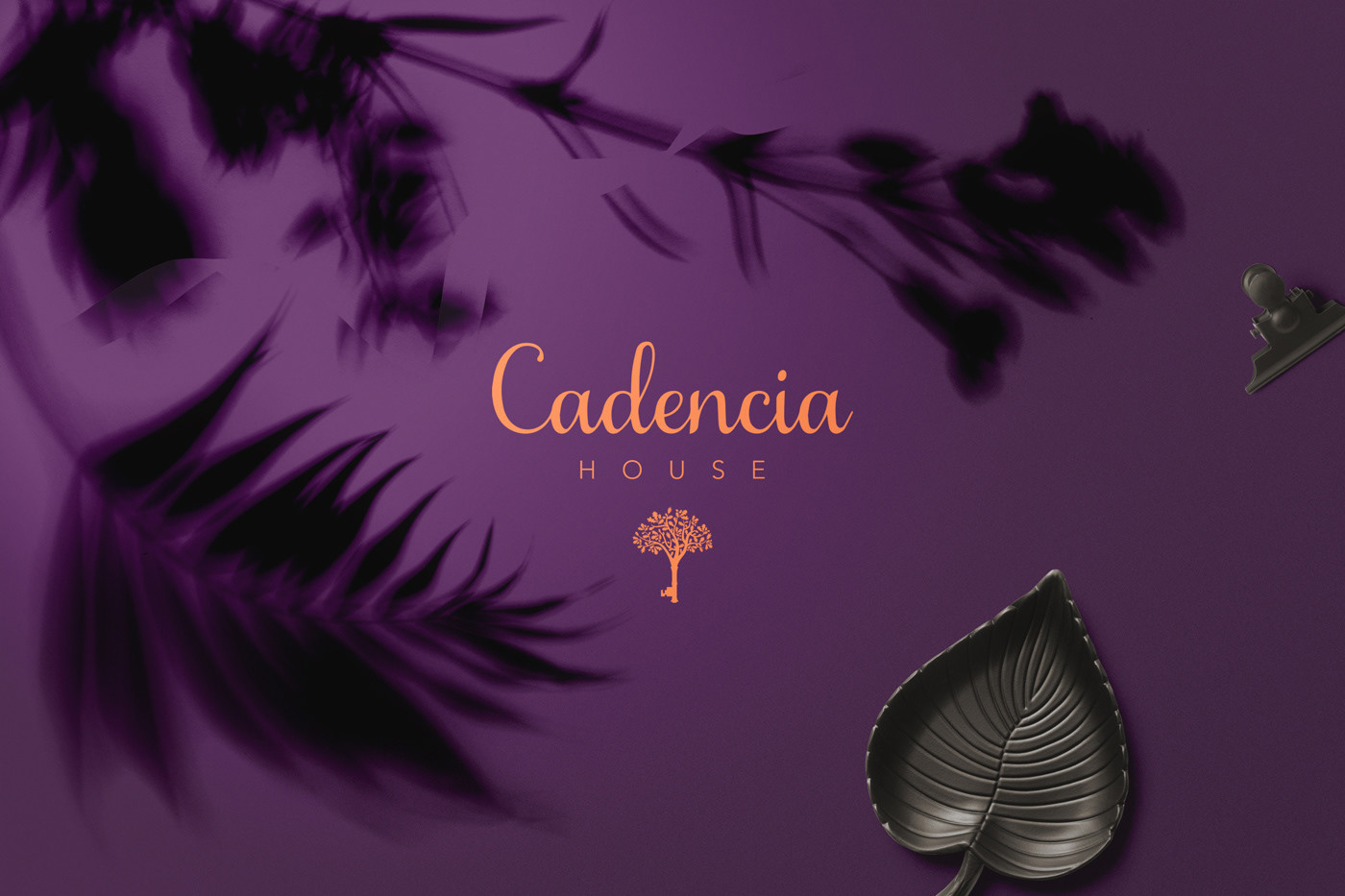 Cadencia時尚服裝品牌設計案例和品牌營銷，服裝品牌形象設計，品牌營銷，深圳品牌設計，左右格局