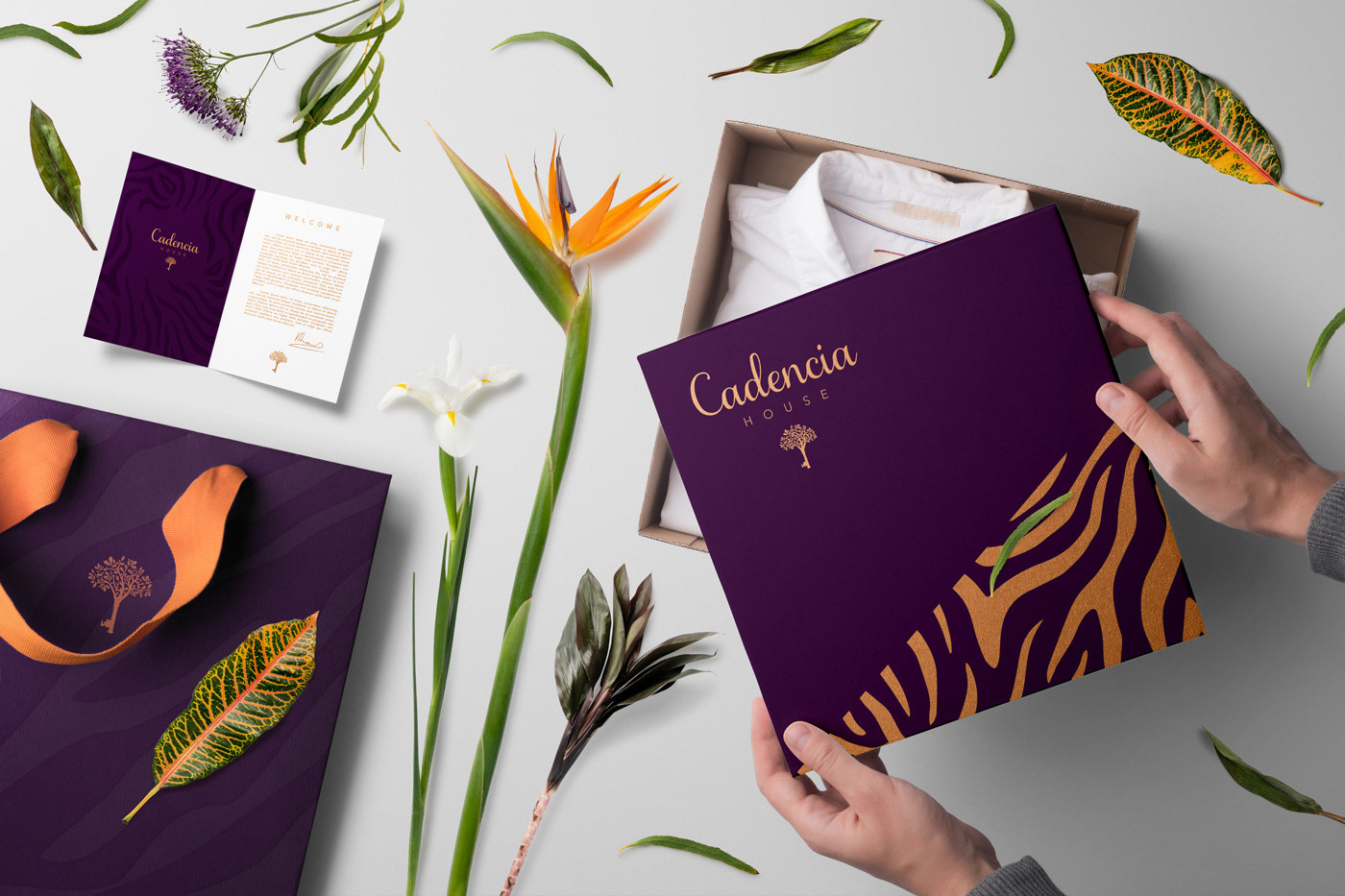 Cadencia時尚服裝品牌設計案例和品牌營銷，服裝品牌形象設計，品牌營銷，深圳品牌設計，左右格局