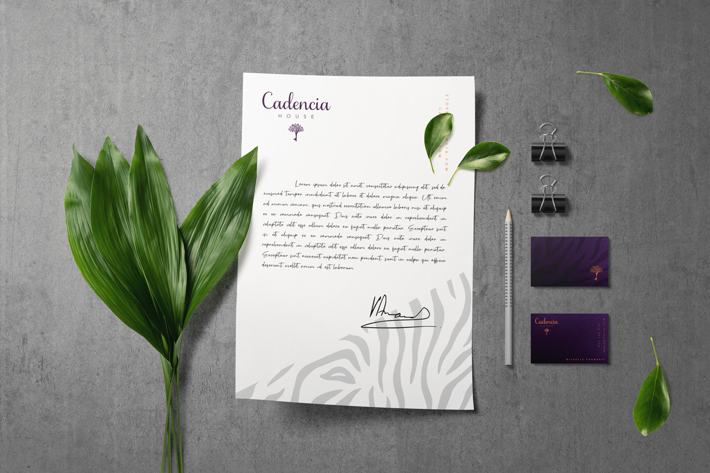 Cadencia時尚服裝品牌設計案例和品牌營銷，服裝品牌形象設計，品牌營銷，深圳品牌設計，左右格局