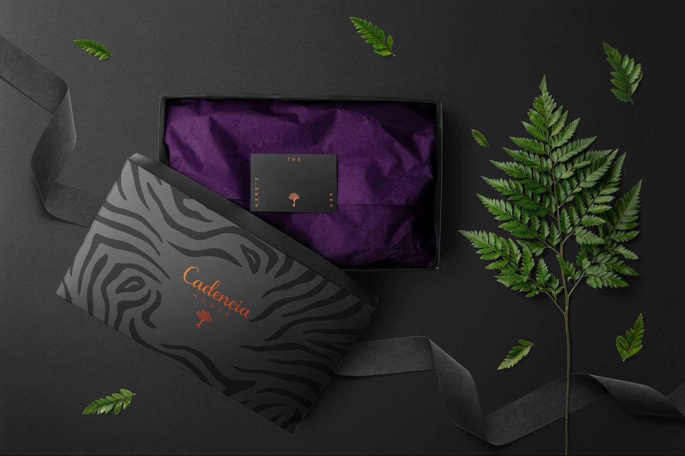 Cadencia時尚服裝品牌設計案例和品牌營銷，服裝品牌形象設計，品牌營銷，深圳品牌設計，左右格局