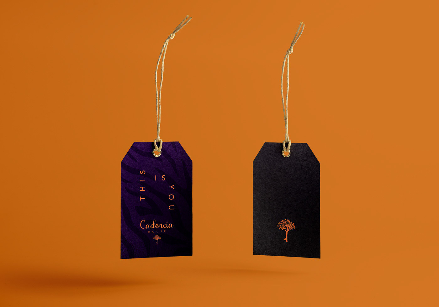 Cadencia時尚服裝品牌設計案例和品牌營銷，服裝品牌形象設計，品牌營銷，深圳品牌設計，左右格局