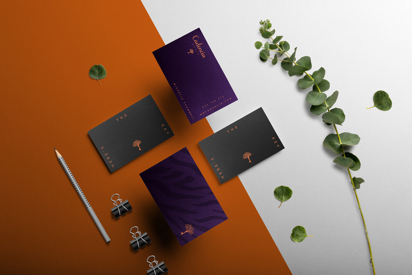 Cadencia時尚服裝品牌設計案例和品牌營銷，服裝品牌形象設計，品牌營銷，深圳品牌設計，左右格局