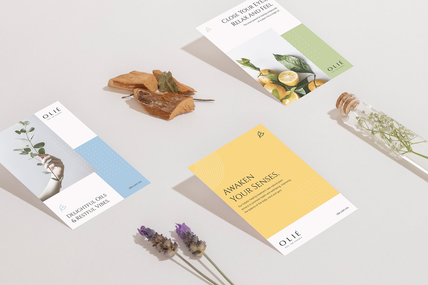OLIE 香薰產品零售企業品牌設計案例，化妝品品牌設計，品牌設計公司，深圳品牌設計，左右格局