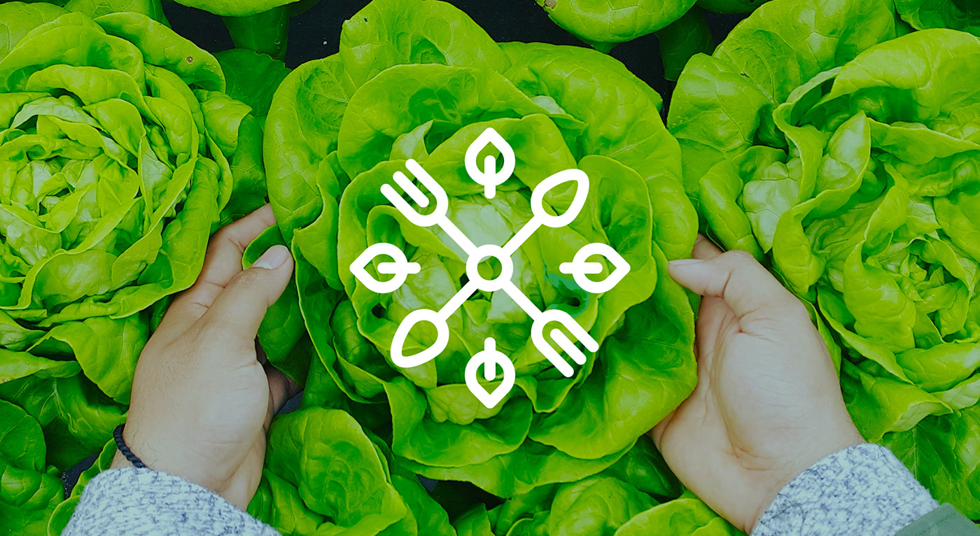 Grassroots 優質食品企業品牌形象設計，食品品牌設計，食品品牌策劃，深圳品牌設計，左右格局