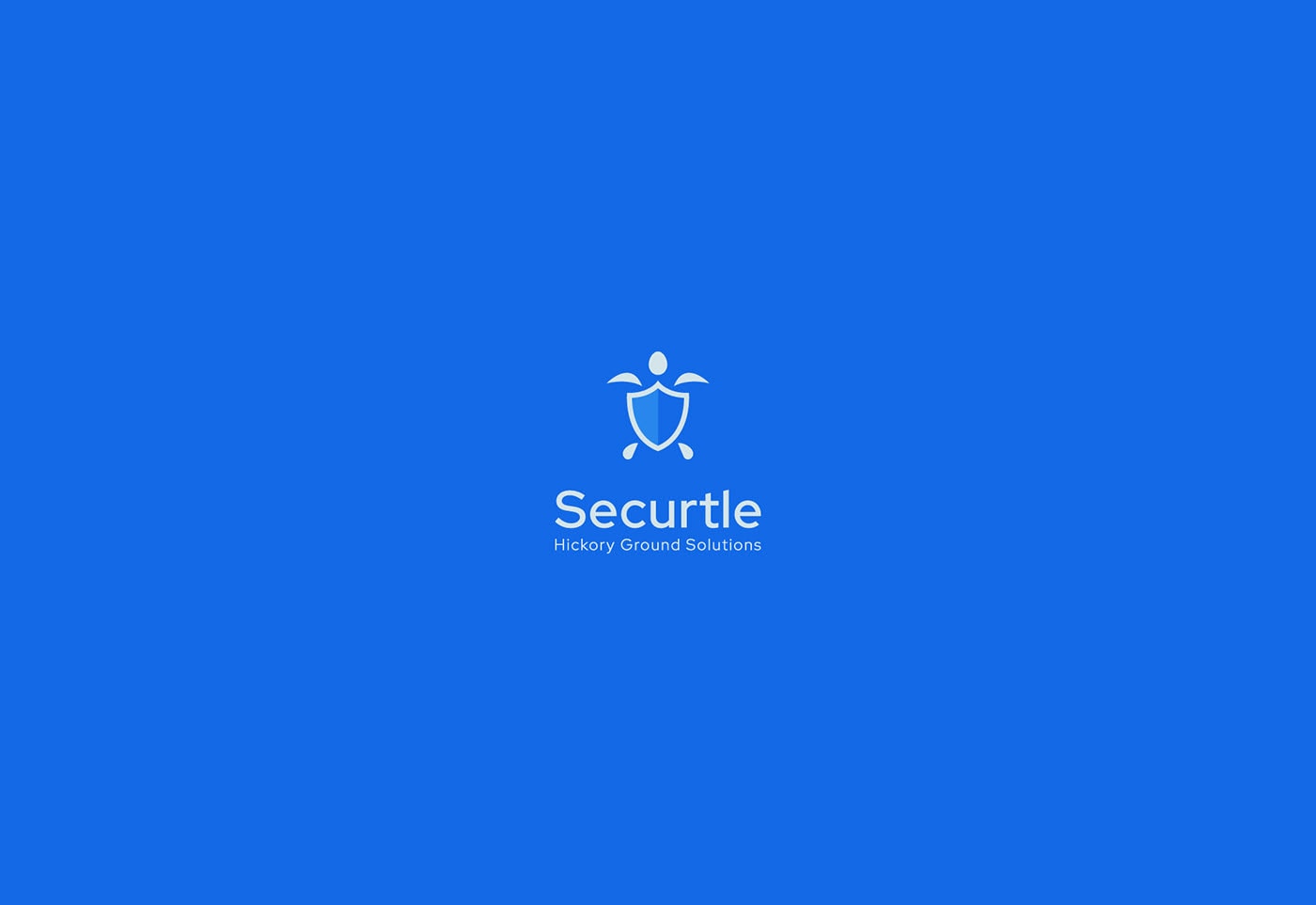 Securtle 網絡金融咨詢企業品牌視覺設計，金融品牌設計，品牌形象設計，品牌設計公司，左右格局