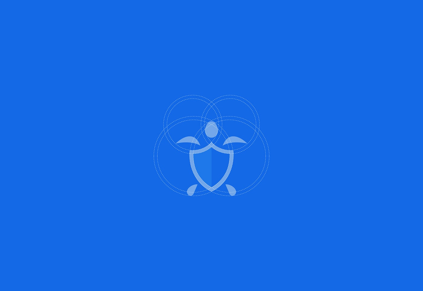 Securtle 網絡金融咨詢企業品牌視覺設計，金融品牌設計，品牌形象設計，品牌設計公司，左右格局