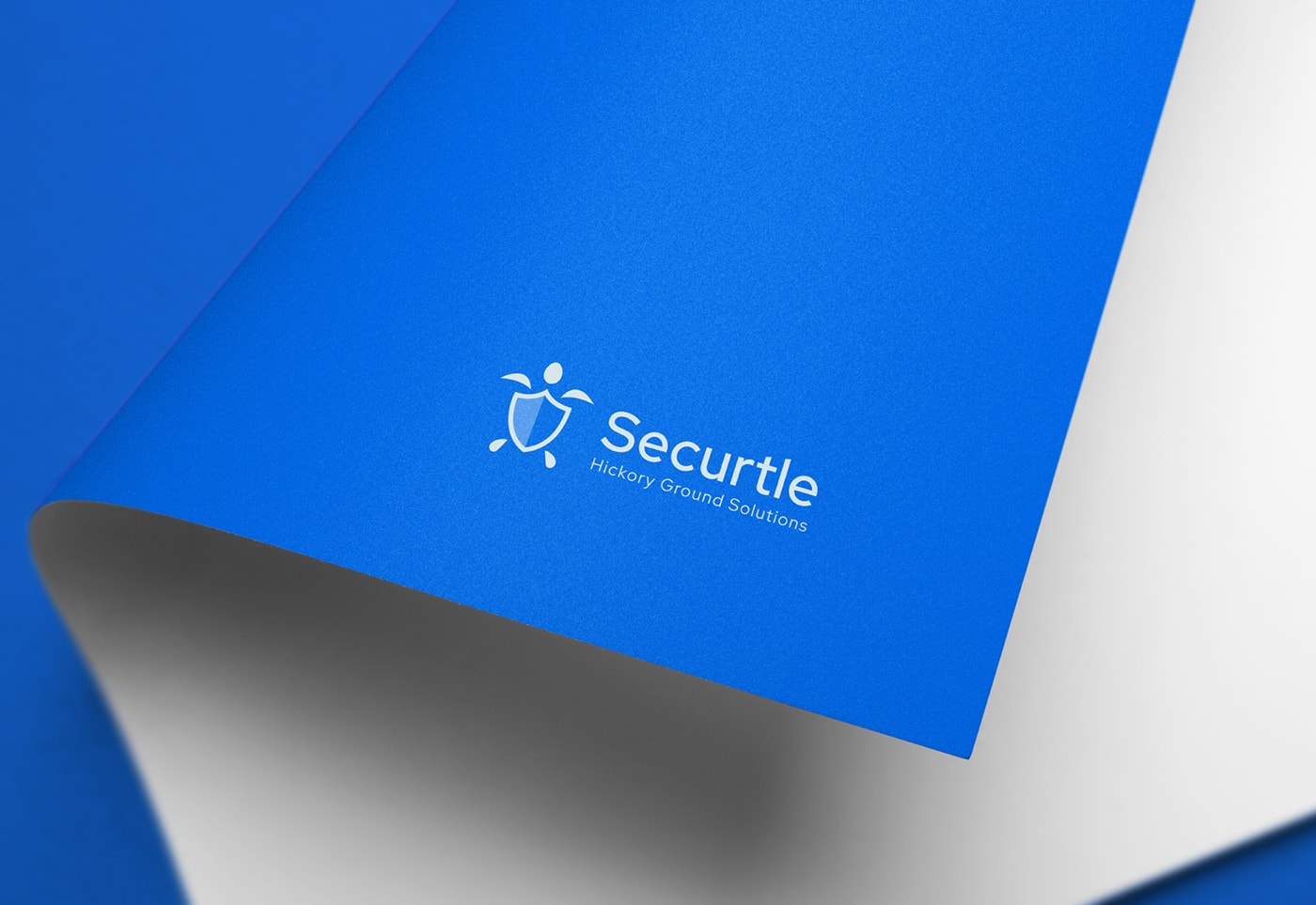 Securtle 網絡金融咨詢企業品牌視覺設計，金融品牌設計，品牌形象設計，品牌設計公司，左右格局