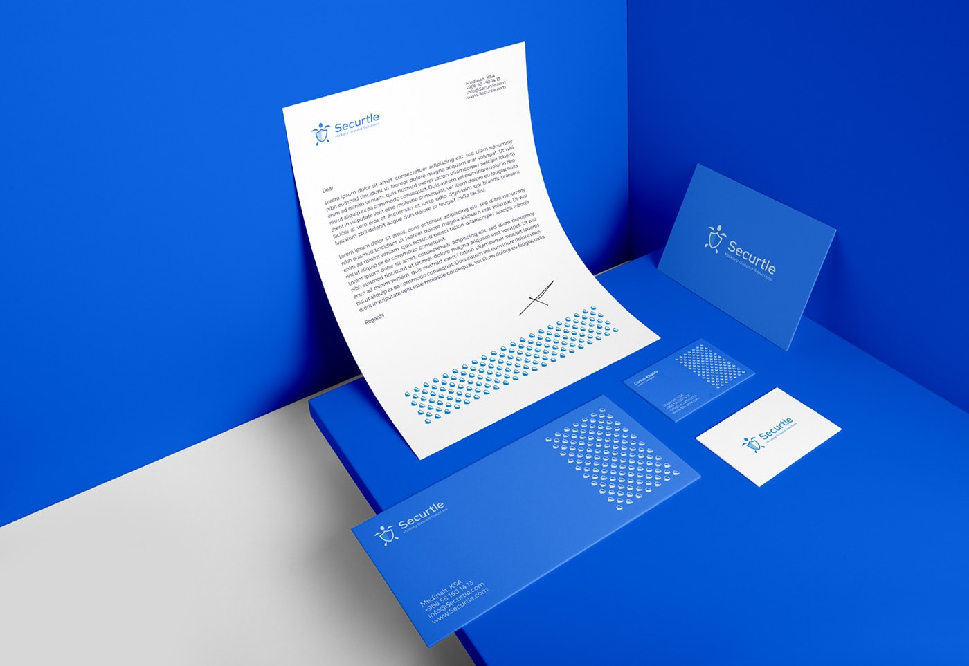 Securtle 網絡金融咨詢企業品牌視覺設計，金融品牌設計，品牌形象設計，品牌設計公司，左右格局