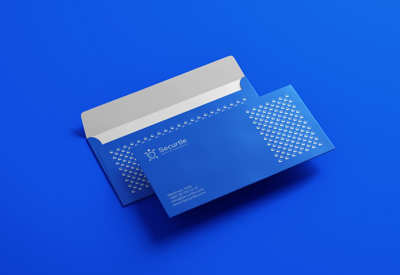 Securtle 網絡金融咨詢企業品牌視覺設計，金融品牌設計，品牌形象設計，品牌設計公司，左右格局
